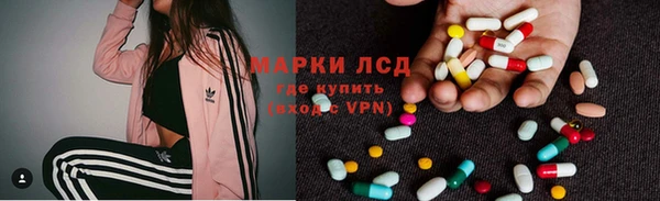 спайс Касимов