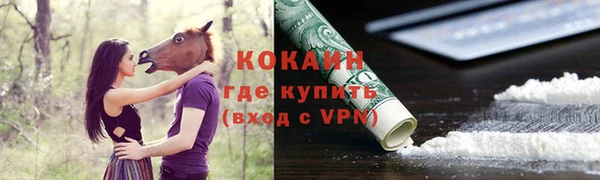 спайс Касимов