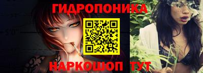 гидра Краснокаменск