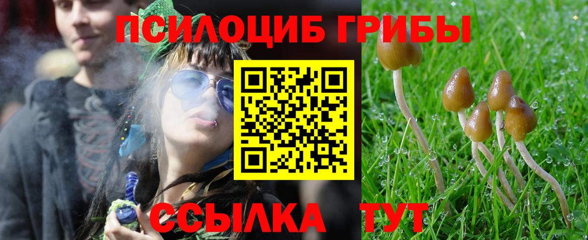 Галлюциногенные грибы Cubensis Реутов